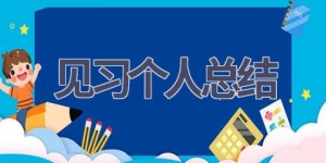 见习个人总结(17篇范文）