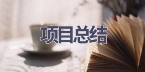 项目总结(21篇范文）