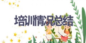 培训情况总结(15篇范文）