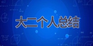 大二个人总结(19篇范文）