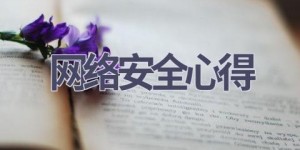 网络安全心得(19篇范文）