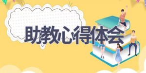 助教心得体会(19篇范文）
