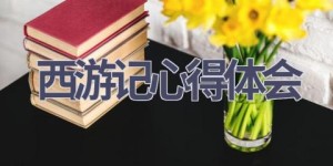 西游记心得体会(13篇范文）