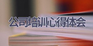 公司培训心得体会(4篇范文）