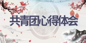 共青团心得体会(16篇范文）