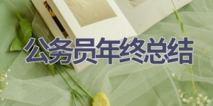 公务员年终总结(15篇范文）