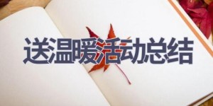 送温暖活动总结(21篇范文）