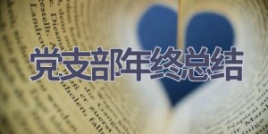 党支部年终总结(15篇范文）