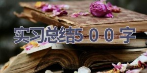 实习总结500字(18篇范文）