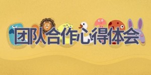团队合作心得体会(19篇范文）