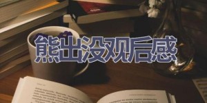 熊出没观后感(13篇范文）