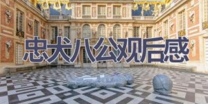 忠犬八公观后感(11篇范文）