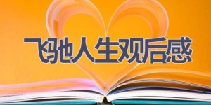 飞驰人生观后感(19篇范文）