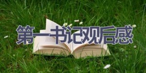 第一书记观后感(12篇范文）