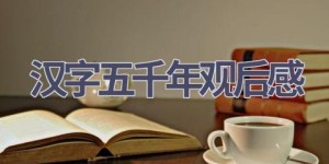 汉字五千年观后感(6篇范文）