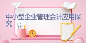 中小型企业管理会计应用探究