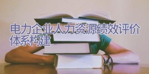 电力企业人力资源绩效评价体系构建