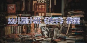 幼儿园小班《洗手》教案