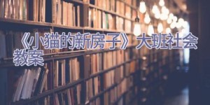 《小猫的新房子》大班社会教案