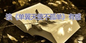 读《单翼天使不孤单》有感