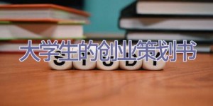 大学生的创业策划书