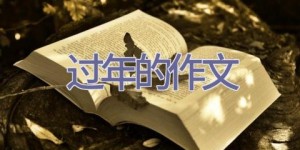 过年的作文