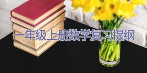 一年级上册数学复习提纲