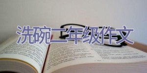 洗碗二年级作文