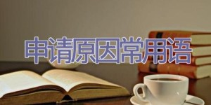申请原因常用语