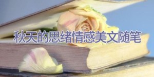 秋天的思绪-情感美文随笔