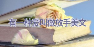 有一种爱叫做放手美文