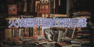 火烧圆明园的观后感