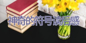 神奇的符号读后感