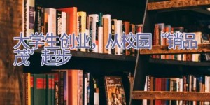 大学生创业，从校园“销品茂”起步