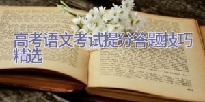 高考语文考试提分答题技巧(精选)
