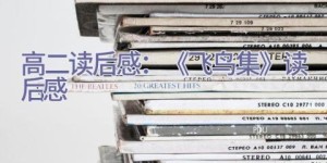 高二读后感：《飞鸟集》读后感
