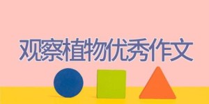 观察植物优秀作文