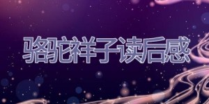 骆驼祥子读后感