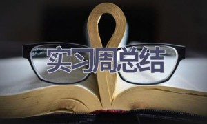实习周总结(18篇范文）