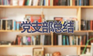 党支部总结(17篇范文）