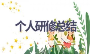 个人研修总结(15篇范文）