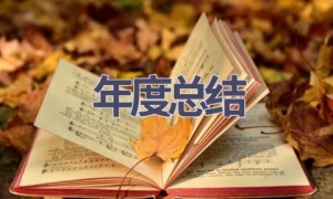 年度总结(15篇范文）