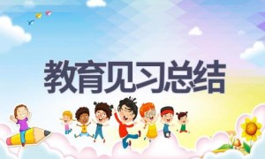 教育见习总结(17篇范文）