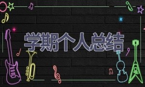 学期个人总结(17篇范文）