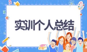 实训个人总结(19篇范文）