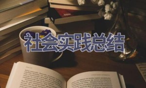 社会实践总结(18篇范文）