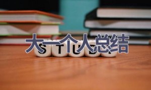大一个人总结(21篇范文）