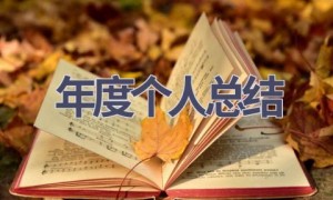 年度个人总结(21篇范文）