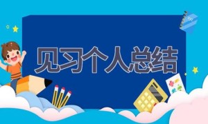 见习个人总结(17篇范文）