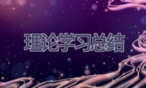 理论学习总结(11篇范文）